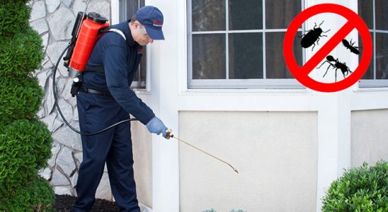 Kumluca Böcek İlaçlama böcek ilaçlama ve haşere kontrolü — ilaclama-tr.com